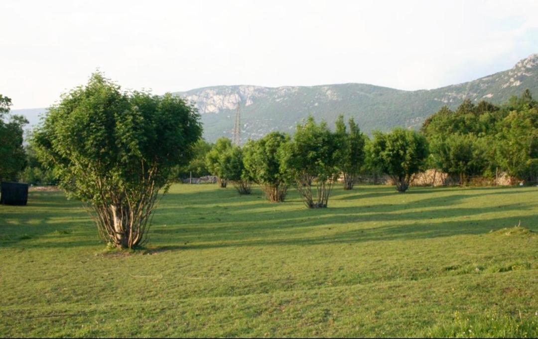 Apartman House Lana Kršan